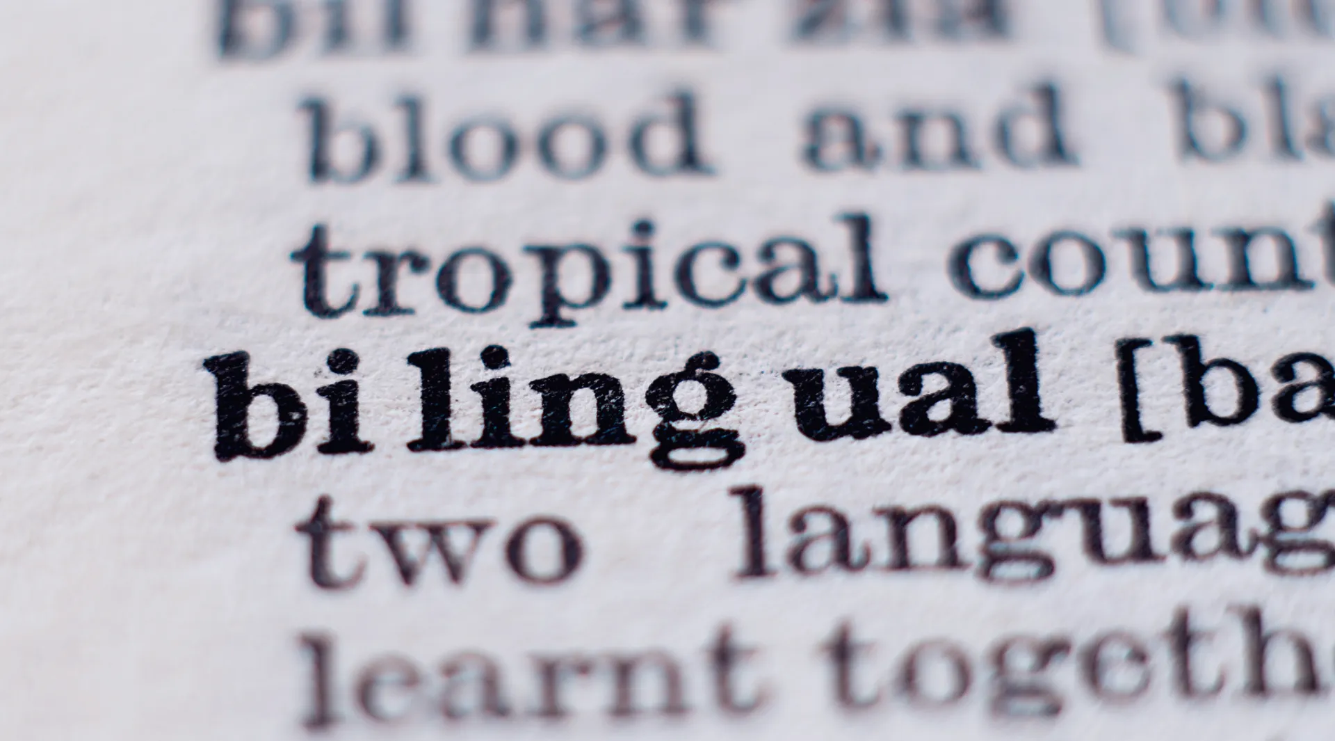 bilingual programs