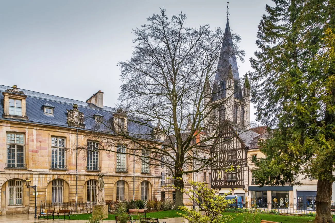 Dijon Dijon